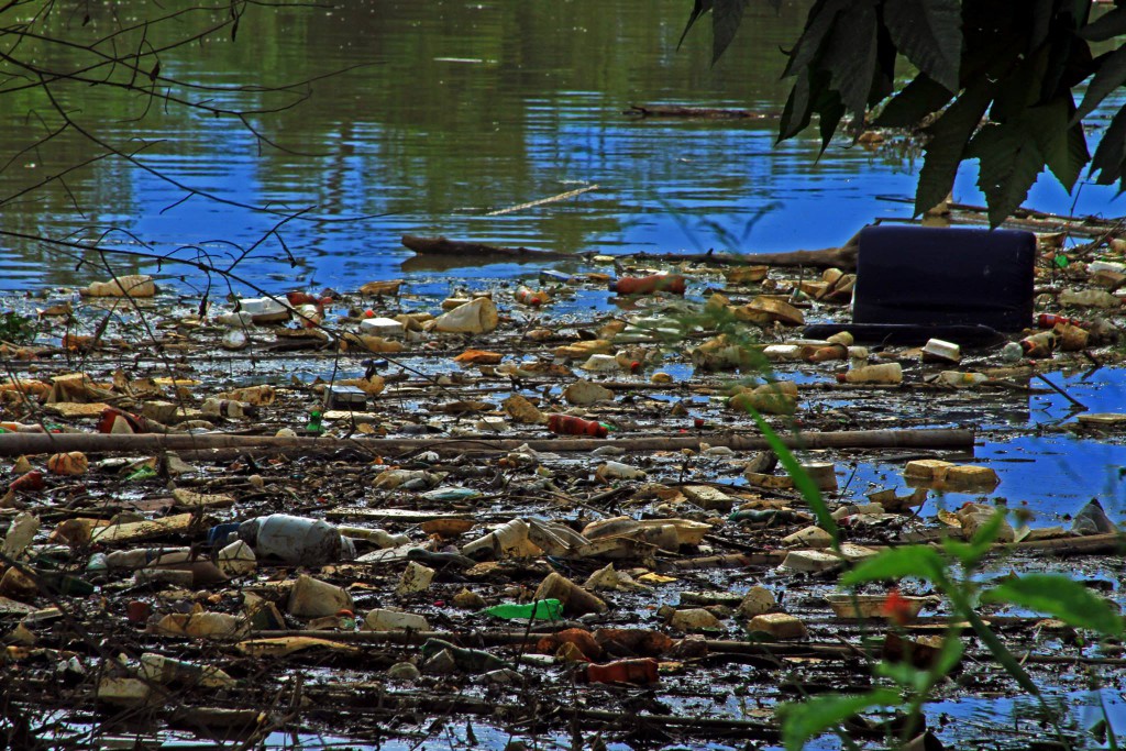RIO CAUCA 1