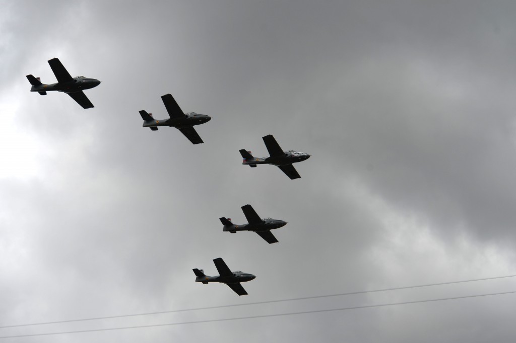 tucano
