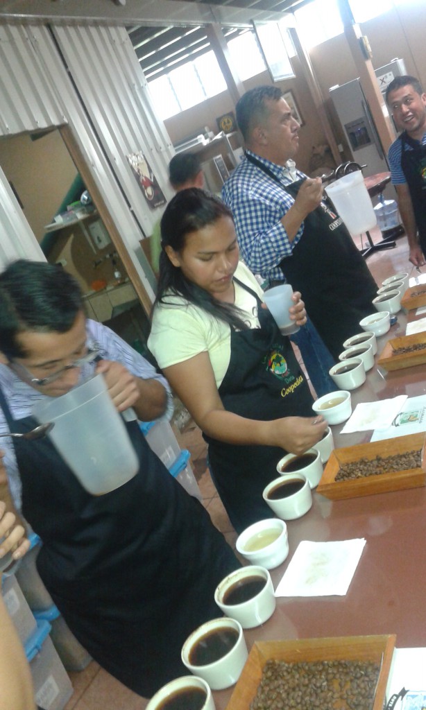 Jóvenes cafeteros