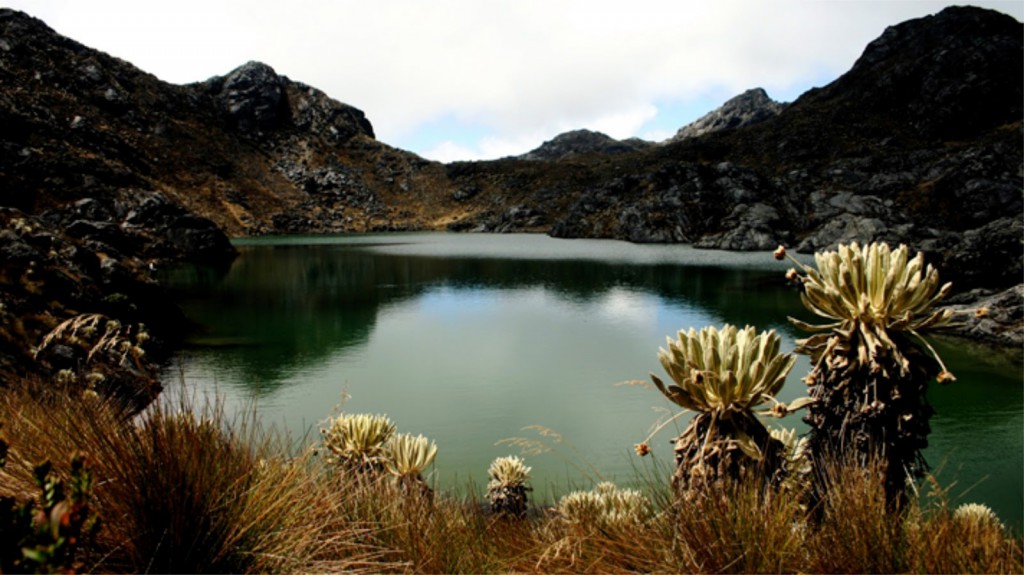 paramo santurban