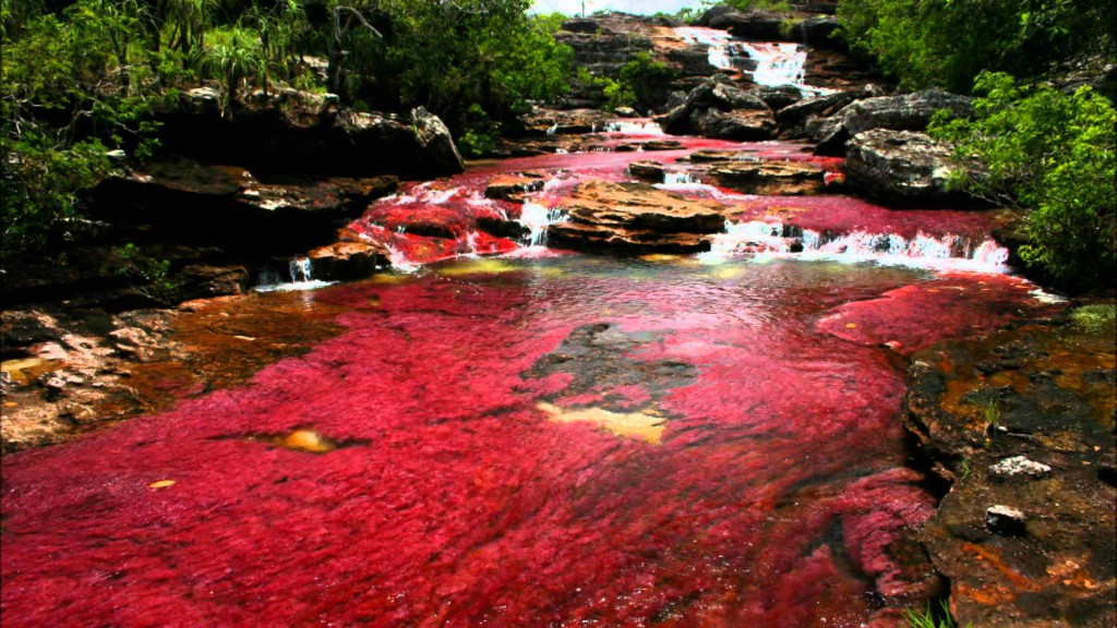 caño