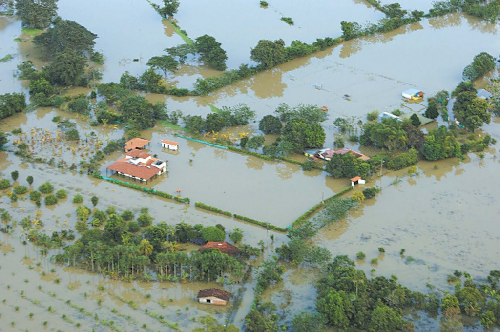 NIÑAYA