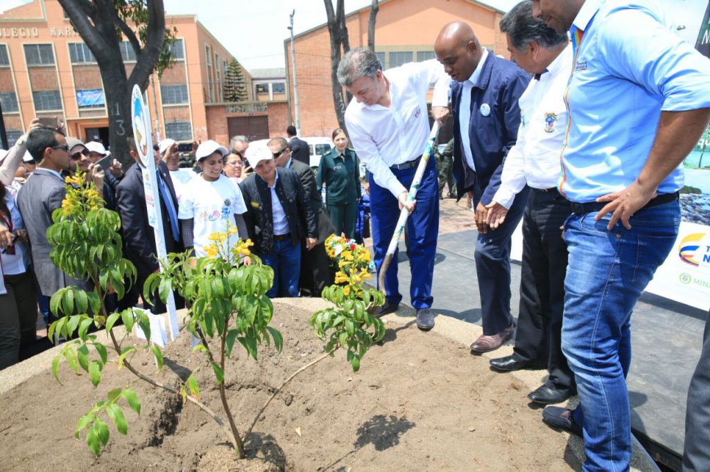 siembra-de-arbol-soacha-2