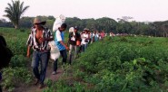 La justicia falló a favor de los campesinos  y les devolvieron los predios La Paz, Tres Palmas, Villa Paola y La Esperanza, que equivalen a 3.316 hectáreas de tierra.  &nbsp; Hace [&hellip;]
