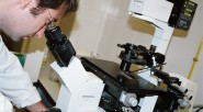 «Tenemos investigadores en Leticia (Amazonas), en Florencia (Caquetá), en San José del Guaviare (Guaviare), en Leguízamo (Putumayo), en La Chorrera (Amazonas) y en Araracuara (Caquetá), que apoyan y están respondiendo [&hellip;]