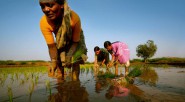 El 81% de las mujeres estén o desempleadas o en la informalidad, que los salarios sean en promedio 21% más bajos a los de los hombres, y que el índice [&hellip;]