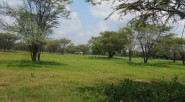 Tierras despojadas por Mancuso volverán a manos de campesinos cordobeses La intervención de la zona comprende los corregimientos de Santa Marta, Morales y Nueva Granada, en la vereda Las Flores, [&hellip;]
