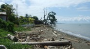 Los departamentos de la región Caribe son los más erosionados del país.    El  24 % de las tierras en Colombia es susceptible a la desertificación, y el 0,7 % […]