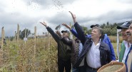 El Presidente Juan Manuel Santos, el Ministro de Agricultura, Aurelio Iragorri; el Director de Corpoica, Juan Lucas Restrepo y el Alcalde de Pasto, Harold Guerrero, lanzan al aire semillas, durante […]