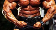 El físicoculturismo o bodybuilding en inglés, es una actividad en la que través de ejercicios físicos intensos, los practicantes consiguen hipertrofiar el músculo para así hacerlo crecer. Kike Pérez  Especial [&hellip;]