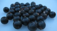 Se trata de la fruta que evita el envejecimiento prematuro, facilitar la absorción de otras vitaminas y minerales, y prevenir enfermedades degenerativas como arteriosclerosis, cáncer y Alzheimer. &nbsp; Marisol López [&hellip;]