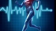 Según  la Organización Mundial De La Salud (OMS), las enfermedades cardiovasculares son la primera causa de muerte en el mundo. &nbsp; Según sus estadísticas, en el año 2012, 17.5 millones [&hellip;]
