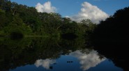 La Amazonia Colombiana, que ocupa el 42% del país, por su diversidad biológica, social y ambiental, es un reto para la investigación en la búsqueda de su sostenibilidad. &nbsp; Marisol [&hellip;]