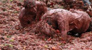 Miles de personas participaron ayer en la octava edición de la tomatina en Sutamarchán, en el centro del país, una fiesta que celebra la cosecha de este fruto. Habitantes de [&hellip;]