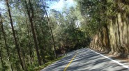 Los trabajos que se han venido realizando hacen parte de la reconstrucción, rehabilitación y mantenimiento de seis puentes peatonales, así como también la cuenca del Rio Sumapaz con cerca de […]