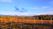 El departamento del Tolima, se ha caracterizado por su riqueza natural, reflejando paisajes extraordinarios.  La belleza de sus tierras, contrasta con la perdida de liderazgo en el ámbito regional y [&hellip;]