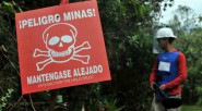 En la erradicación manual de la coca van 190 campesinos muertos y 674 heridos, en su gran mayoría, por minas antipersona. Foto Cortesía Jorge Robledo. &nbsp; &nbsp; Por su peligrosidad, solo [&hellip;]