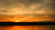 El foro examinará con rigor científico, académico, empresarial, social y ciudadano el impacto del derrame de 200 galones de petróleo sobre una amplia zona de biodiversidad de esta sección del [&hellip;]