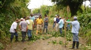 Predios del Eje Cafetero asediadios por alias Karina y Ramon Isaza vuelven a manos de campesino. &nbsp; Desde la creación en mayo de 2014 de La Unidad de Restitución de Tierras [&hellip;]