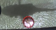 Toneladas de agua son utilizadas para apagar los múltiples incendios forestales en el departamento de Cundinamarca. &nbsp; Con el apoyo de la Brigada de Aviación del Ejército y en coordinación [&hellip;]