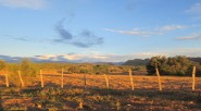 Los paisajes recorridos en el departamento del Tolima son maravillosos. Foto Primicia Diario &nbsp; Pablo Parra S. Especial Primicia Diario &nbsp;  Bogotá, Sábado 2:30 A.M.: Con la rigurosidad de Gerney Ríos [&hellip;]