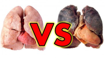 Según el National Cancer Institute, el tabaco es la principal causa de cáncer de diferentes tipos:  de pulmón, laringe, boca, esófago, e incluso otros órganos como el colon y el hígado. &nbsp; Más de [&hellip;]