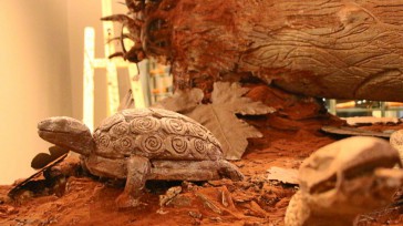 Los animales las inspiración del pastelero Chocolate la materia prima de las esculturas Frank Aragón, chef pastelero del restaurante La Ventana de Hilton Bogotá junto al equipo de cocina, fueron [&hellip;]