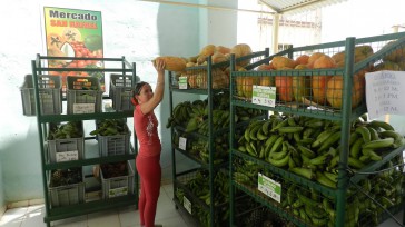 Los mercados del estado venden el tomate de primera calidad a 2,40 pesos cubanos en moneda nacional la libra que equivale a casi diez centavos de dólares, mientras que los […]