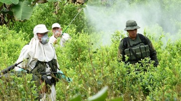  Son muchas los estudios de expertos toxicólogos y organismos internacionales que han calificado al glifosato como un herbicida que causa  impacto negativo en la salud de los humanos que habitan cerca [&hellip;]