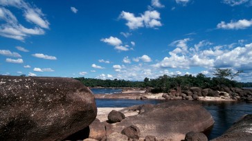El Parque Tuparro podría describirse paisajísticamente como una extensa sabana verde surcada por grandes ríos con potentes raudales y playas doradas, pequeños caños de aguas cristalinas, bosques de galería, morichales [&hellip;]