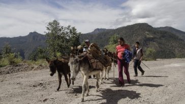 En el proceso de consolidación del Frente Parlamentario Contra el Hambre, ha sido fundamental el apoyo técnico de la FAO, a través de proyectos que se mantienen con la Agencia [&hellip;]