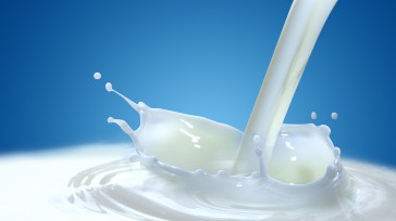 Se celebró  el Día Mundial de la Leche, este alimento nutritivo y delicioso que es el corazón de la  Compañía. En Alpina se trabaja todos los días para que la leche y sus […]