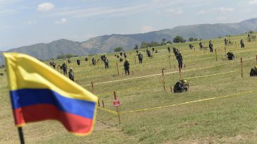 Se activó la Brigada de Ingenieros de Desminado Humanitario compuesta, inicialmente, por 2.500 hombres y que el año próximo dispondrá de 10 mil miembros. &nbsp;