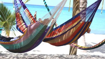 Las siestas no son solo para los niños. Es importante entender los pros y contras de hacer la siesta y cuál es la mejor manera de hacerlo. &nbsp; &nbsp; &nbsp; [&hellip;]