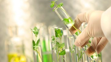 «La biotecnología tiene un alcance macro en Colombia, el segundo país con más biodiversidad y que puede llevar las investigaciones en plantas, hongos y microorganismos a una escala de negocio […]