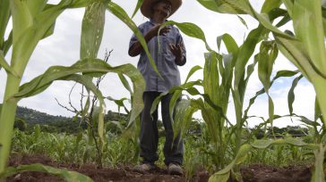 El propósito era que, con la inversión asignada, 7.000 campesinos lograran comercializar directamente sus productos en Bogotá, en la administración Petro. El Distrito no presenta evidencia de beneficio para la ciudad. […]