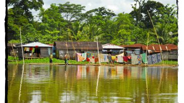     Orbedatos Agencia de Noticias   El profesor Ricardo Mosquera Mesa, ex rector de la Universidad Nacional de Colombia,menciona que las potencialidades del Pacífico están asociadas con su ubicación […]