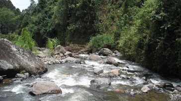 Se crea el Jardín Hidrobotánico Jorge Ignacio Hernández Camacho, como producto del Proyecto Ambiental Escolar: Círculos Pro cultura Del Agua, desarrollado por la Institución Educativa Liceo Concejo Municipal, Fundación PRO- […]