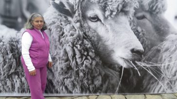 María Delfina Molina de Vanegas ha consagrado su bella vida campesina, a la cría de ovejas de las que se surte de lana virgen para tejer maravillosas prendas de vestir. […]