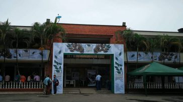 «El Simposio Internacional Amazónico de Restauración Ecológica, se constituye en el primer producto del trabajo conjunto de organizaciones, instituciones y sociedad civil en el Nodo Amazónico de la Red Colombiana […]