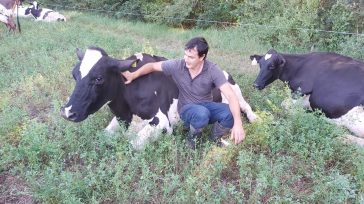 Las tasas de concepción en el Establecimiento San Benito fueron del 34% para vacas en ordeñe y del 46,9% para vaquillonas. &nbsp; &nbsp; &nbsp; &nbsp; Las ventajas indiscutibles para los [&hellip;]