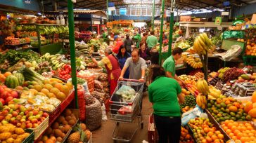 Existen 19 plazas de mercado en Bogotá  administradas por el IPES, distribuidas en diferentes localidades de Bogotá.          Comerciantes de las diferentes Plazas Distritales de Mercado darán  […]