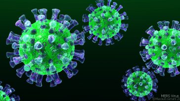 «La puerta de entrada» que el virus utiliza para entrar a las células. &nbsp; &nbsp; &nbsp; &nbsp; BBC Es un paquete microscópico de material genético rodeado de una capa de proteína [&hellip;]