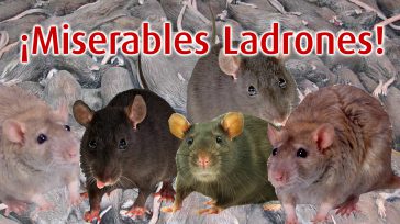 La corrupción se encuentra desplegada a lo largo y ancho de Colombia.Los dineros para atender la emergencia sanitaria están llegando a unos cuantos delincuentes, mientras la mayoría de gente sufre [&hellip;]