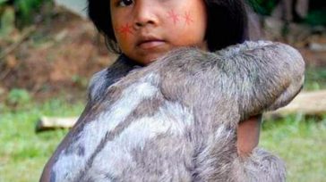Una inocente niña indígena de la comunidad Curripaco en el corregimiento de San Felipe en el departamento del Guainía, nos da una lección,  como el humano puede convivir con la [&hellip;]