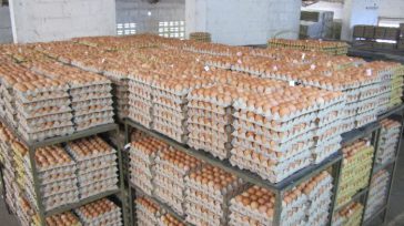 La entrega se realizará a través de la Fundación Banco de Alimentos de Bogotá, que dirige el padre Daniel Saldarriaga, quien se encargará de comprar y distribuir esta proteína animal [&hellip;]