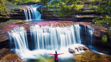 Caño Cristales      Durante los últimos días se ha visto cómo paulatinamente los sectores de la economía han ido reactivando. Para el caso del turismo, desde hace unos días […]