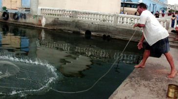Así se pescaba camarón en Manzanillo en la década de 1950. &nbsp; &nbsp; &nbsp; &nbsp; Texto y fotos Lázaro David Najarro Pujol &nbsp; En la actualidad el desarrollo tecnológico se [&hellip;]
