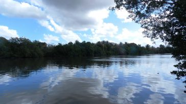 Dejamos atrás el Río las Casas en busca del golfo. &nbsp; &nbsp; Texto y fotos Lázaro David Najarro Pujol Ilustración René de la Torre &nbsp; Sobre el azulado golfo los [&hellip;]