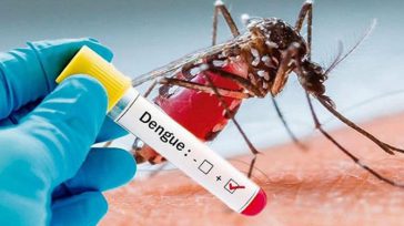 En Ibagué durante el año 2020 se han registrado más de 2.200 casos de dengue.     Juan Zuleta Ibagué Mientras la ciudadanía de Ibagué está en riesgo del coronavirus y el […]